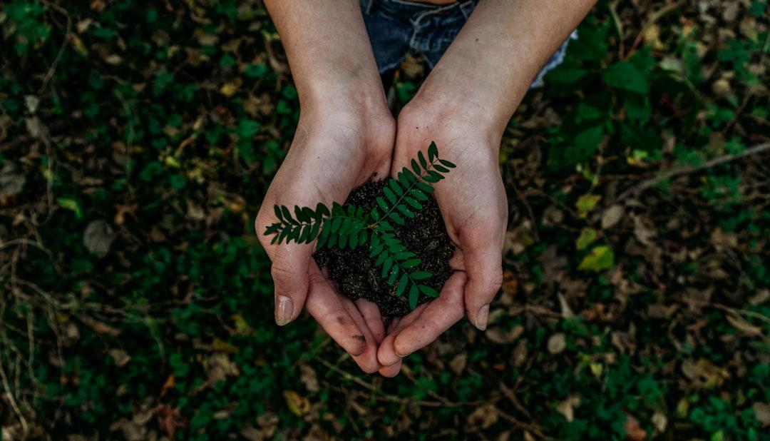 Photo Sustainability, CSR, Companies, Impact